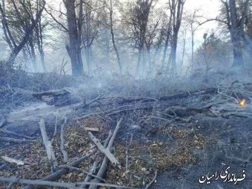 آتش در جنگل های رامیان گلستان مهار شد؛ 12 هکتار خسارت دید