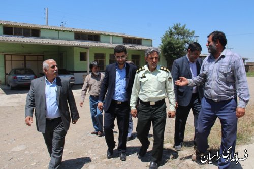 بازدید مهندس سالاری فرماندار شهرستان رامیان از مراکز خرید  کلزا در شهرستان رامیان