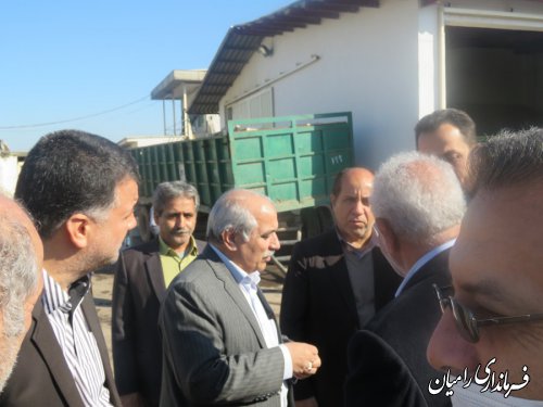 سطح کشت گوجه فرنگی شهرستان رامیان 50درصد کشت استان گلستان است