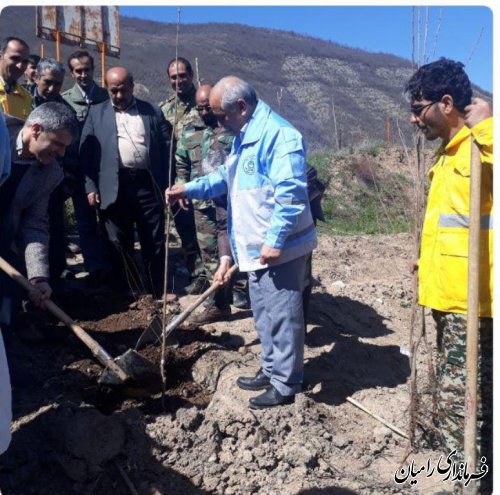 به مناسبت هفته منابع طبیعی مراسم کاشت نهال مثمر در اراضی شیبدار شهرستان رامیان برگزار شد