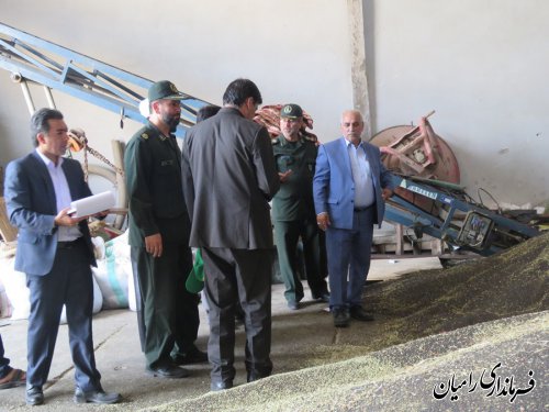 بازدید فرماندار رامیان از مراکز خرید کلزا در سطح شهرستان  رامیان