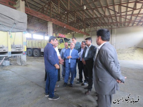 بازدید فرماندار رامیان از مراکز خرید کلزا در سطح شهرستان  رامیان