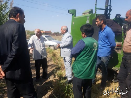 بازدید فرماندار رامیان از مزرعه کشت خشکه کاری برنج در بخش فندرسک شهرستان رامیان