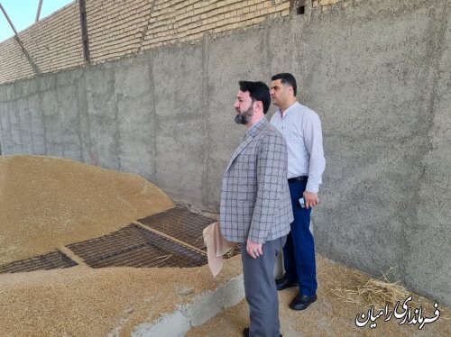 پیگیری آخرین وضعیت خرید توافقی گندم از کشاورزان توسط فرماندار شهرستان رامیان