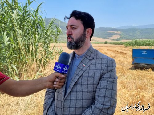 پیگیری آخرین وضعیت خرید توافقی گندم از کشاورزان توسط فرماندار شهرستان رامیان